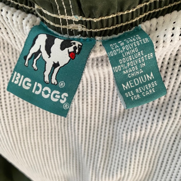 BIG DOGS Swim Shorts - Picture 6 of 10